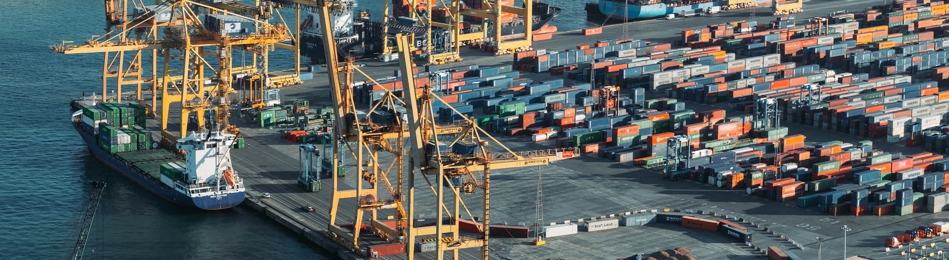 Centre for International Law